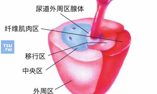 蒿孑功效网 - 蒿子功效与作用,中药蒿子的性味归经与功效作用